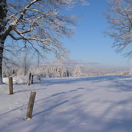 Luxury Apartment In Sumava Mountains Kristanov Kültér fotó