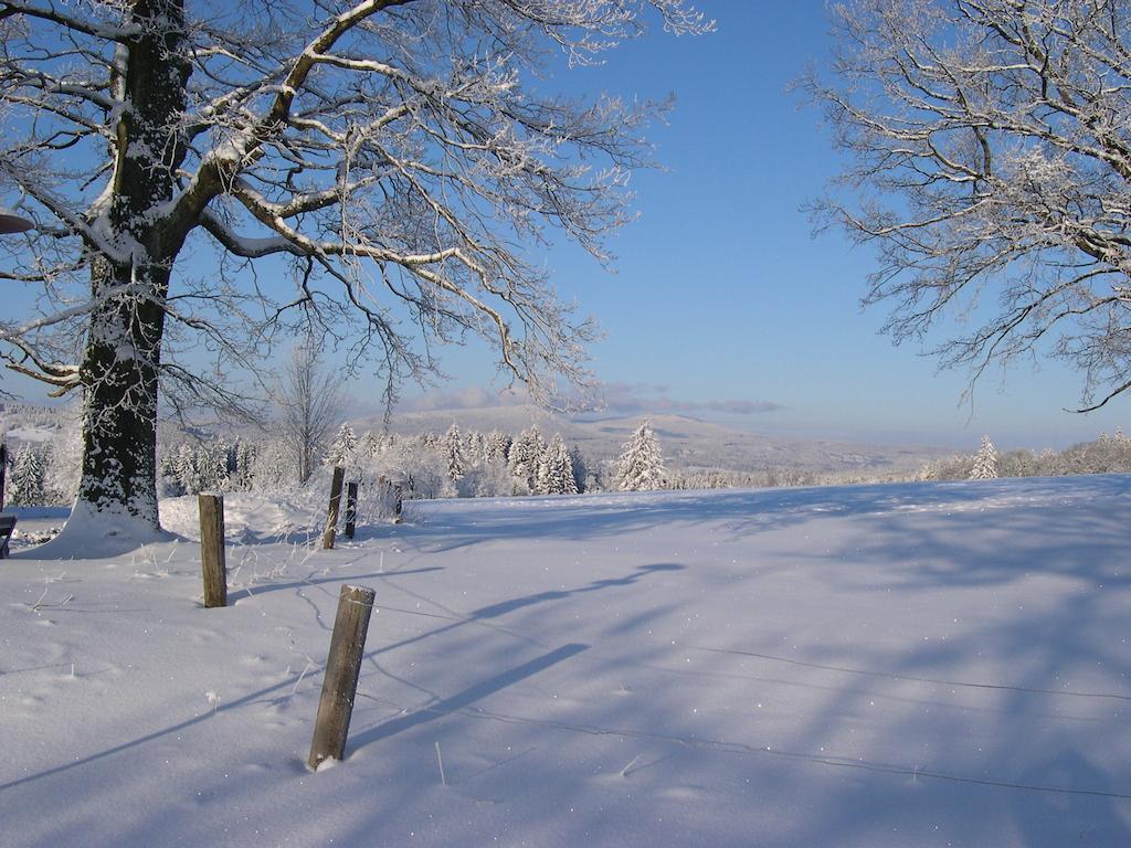 Luxury Apartment In Sumava Mountains Kristanov Kültér fotó